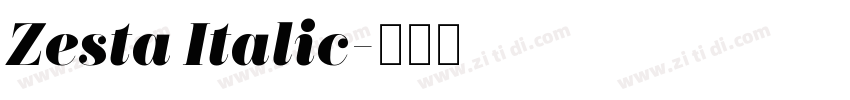 Zesta Italic字体转换